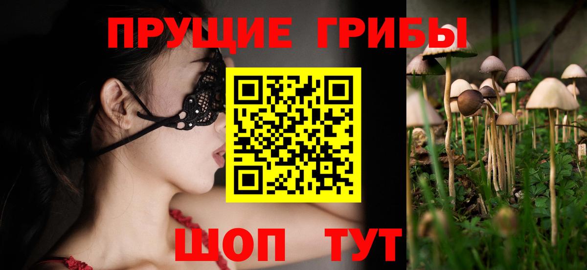 как найти   Псилоцибиновые грибы мицелий  Вход с VPN  Воркута 